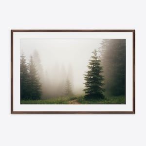 Fine art photograph of a dreamy, foggy forest in the Austrian Alps.