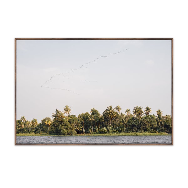 Fine art photograph of flock of birds over the Kerala Backwaters in evening light in India.