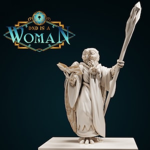 Aarakocra Wizard | Aira | 28-35mm | HiRes Resin | DND is a Woman