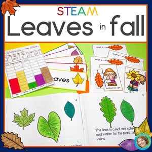 May include: Educational STEAM activity set titled "Leaves in Fall." Includes colorful leaf illustrations, a graphing activity, and a booklet explaining leaf veins. The set features a variety of leaf shapes and colors, perfect for a fall-themed lesson.