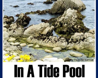 Tide Pools Non-fiction Book Reading Comprehension and Photographs