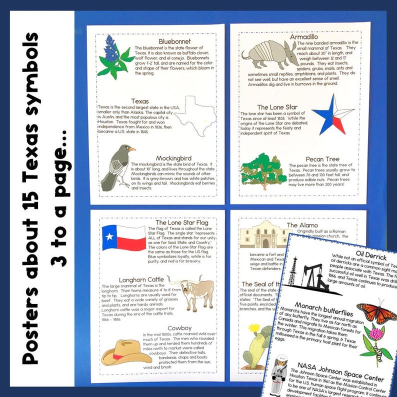 Texas Symbols Bingo Game & State History Posters (printable) - Etsy
