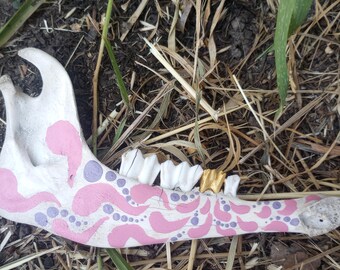 Painted Jawbones
