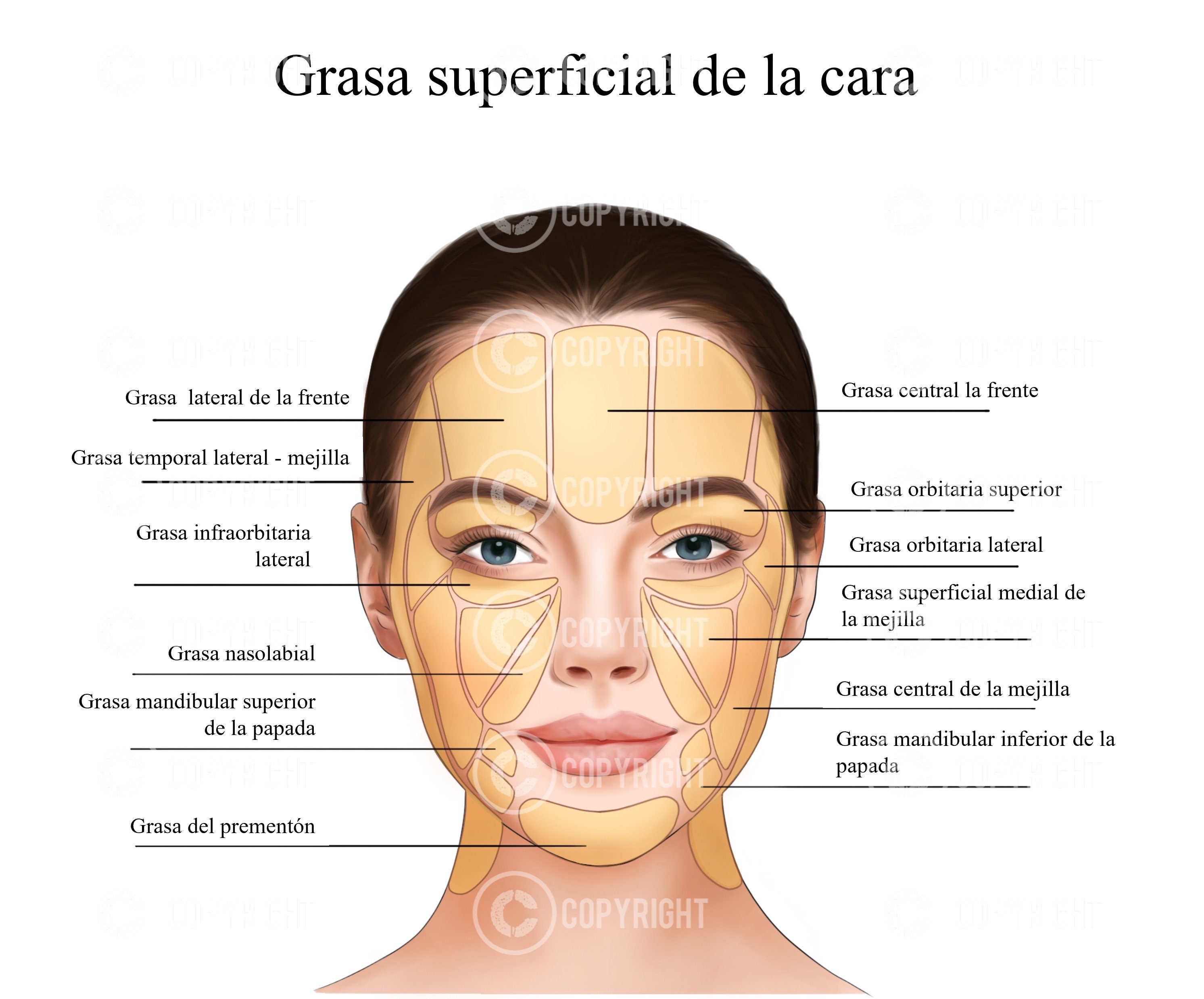 Almohadillas De Grasa Superficiales De La Cara | Botox E Inyector De ...