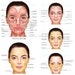 see more listings in the Facial Anatomy section