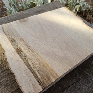 Live Edge Oak Slabs