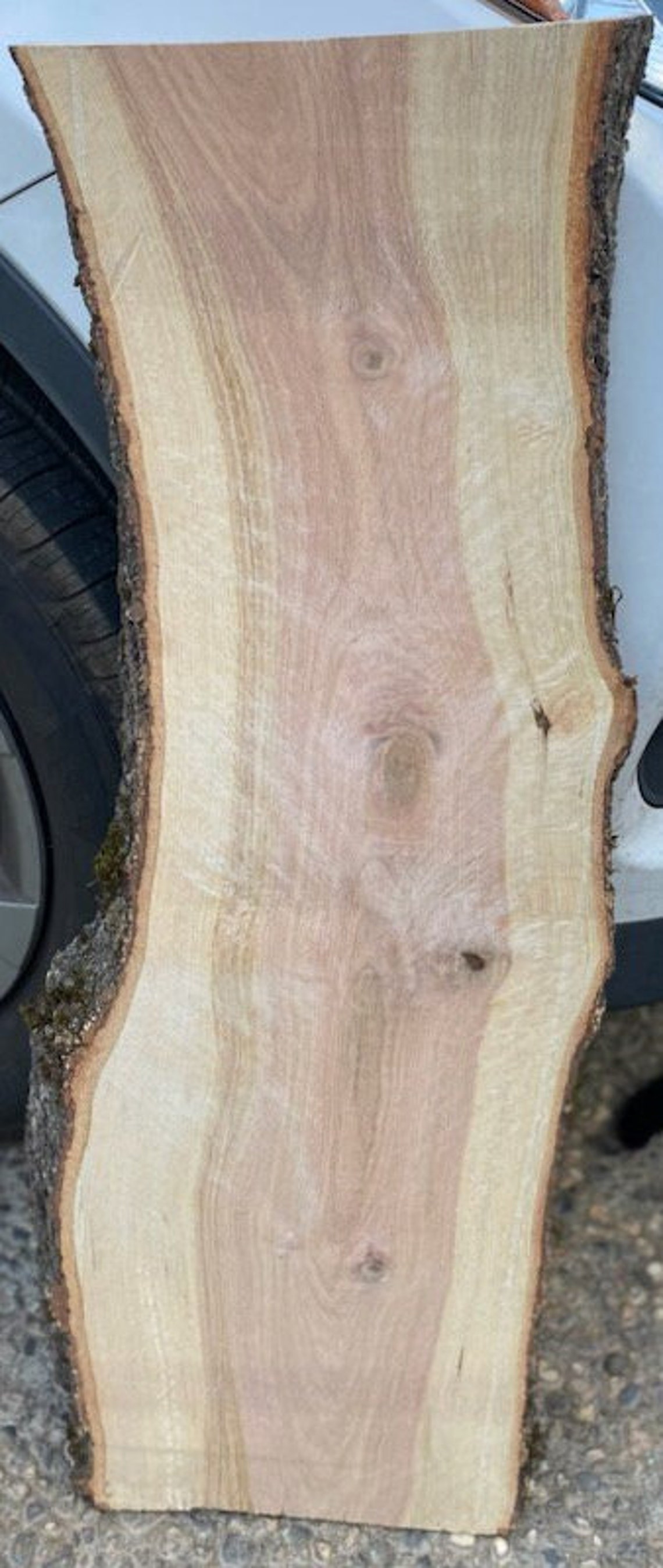 Live Edge Oak Slabs Etsy