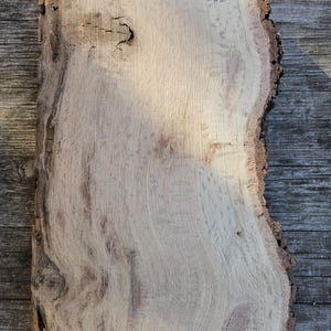 Live Edge Oak Slabs