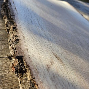 Live Edge Oak Slabs