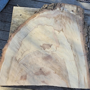 Live Edge Oak Slabs