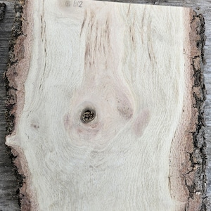 Live Edge Oak Slabs