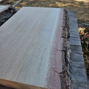 Live Edge Oak Slabs
