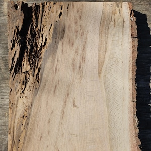 Live Edge Oak Slabs
