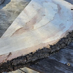 Live Edge Oak Slabs