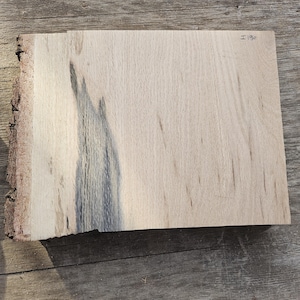 Live Edge Oak Slabs