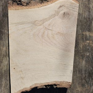 Live Edge Oak Slabs