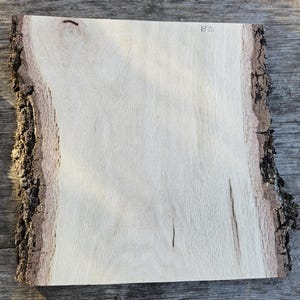 Live Edge Oak Slabs