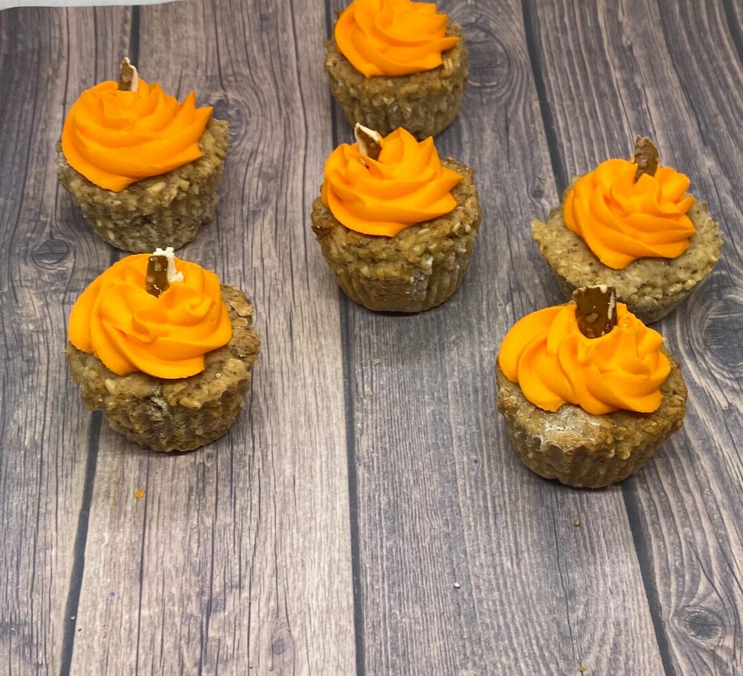 Gourmet Horse Treatspumpkin Mini Cupcakes Etsy