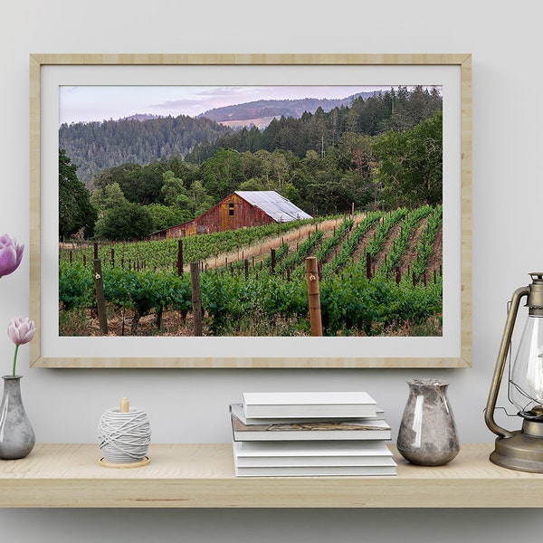 Vintage Red Barn Nestled in Napa Valley Vineyard, Rustic Wine Country Photograph for Napa Valley and  Calistoga Wine Lovers