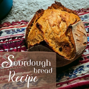 Einfach zu befolgendes Sauerteigbrot-Rezept - Winget Farms berühmtes handwerkliches Sauerteigbrot - für 2 Brote - entfesseln Sie Ihr Back-Meisterwerk