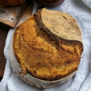 400 + Year Old Tradition - German Sourdough Starter - SUPER ACTIVE - Dried Heritage Sourdough Starter &lt; 1oz - Housewarming gift