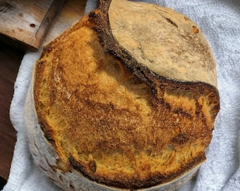 400 + Year Old Tradition - German Sourdough Starter - SUPER ACTIVE - Dried Heritage Sourdough Starter < 1oz - Housewarming gift