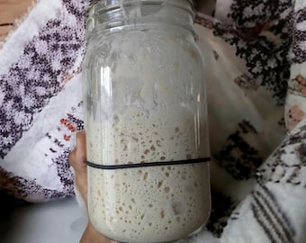 100 year old Tradition - Dried Sourdough Starter VERY ACTIVE Dry Starter for Sourdough baking, San Francisco Sourdough Gift for Baker