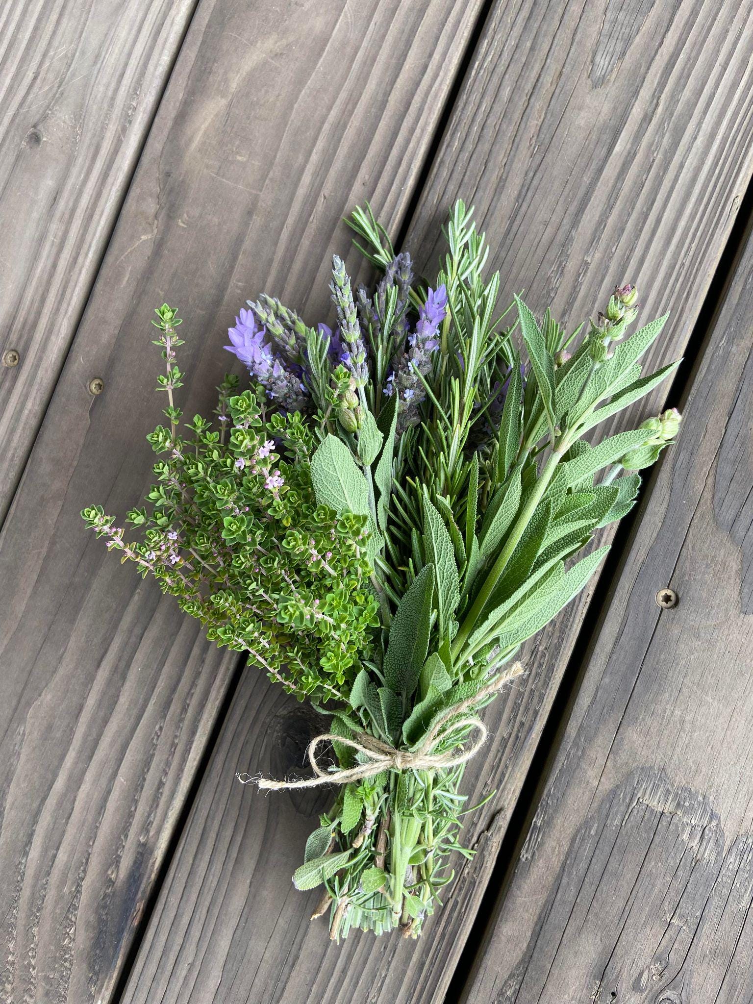 Fresh Organic Florals, Herbs, Lavender and Botanicals grown on Our Lodi, California Lavender and Mediterranean Botanical Farm.