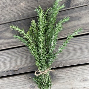 Fresh or Dried Tuscan Blue Rosemary Bundles grown on Our Lodi, California Lavender and Mediterranean Botanical Farm.