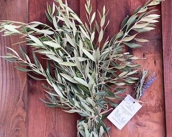 Fresh or Dried Olive Branches organic grown on our Lodi, California Lavender and Mediterranean Botanical Farm. Pesticide Free