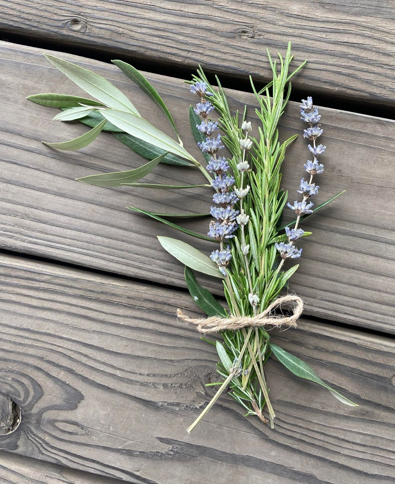 Lavender, Olive Branch and Rosemary Botanical Wedding and Plating and Table Decor grown on our Lodi, Ca. Lavender and Mediterranean Farm.