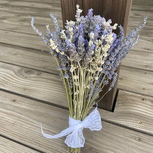 Mixed Purple and White English and French Lavender Bouquet grown on our Lodi, California Lavender and Mediterranean Botanical Farm