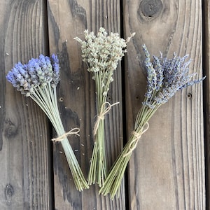 May include: Three bundles of dried lavender, each tied with twine. The lavender features varying shades of purple and white, with green stems. The bundles are arranged on a weathered wooden surface, showcasing the natural colors and textures of the dried flowers.