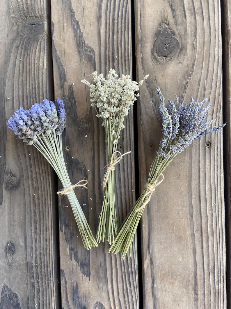 May include: Three bundles of dried lavender, each tied with twine. The lavender features varying shades of purple and white, with green stems. The bundles are arranged on a weathered wooden surface, showcasing the natural colors and textures of the dried flowers.