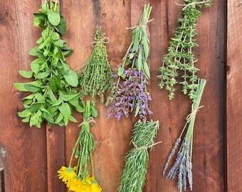 Fresh Organic Mediterranean Herbs and Florals grown on our Lodi, California Lavender and Mediterranean Botanical Farm.