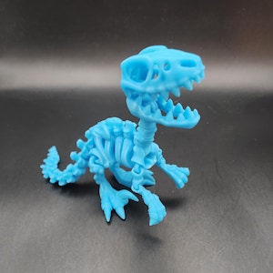 Articulated Velociraptor Skeleton | Fidget | Cute | 3D Printed | Dinosaur | Prehistoric | Flexible | Sensory | Desk Toy | Pet | Kids | Gift