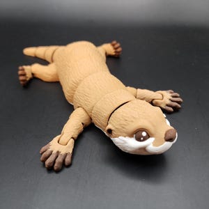 Articulated River Otter | Mammal | Fidget | Wildlife | Cute | Flexible | Sensory | Detailed | Pet | 3D Printed | Fun | Kids | Gift | Animals