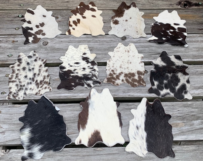 Real Cowhide Assorted Cow Shape Coasters