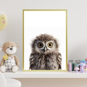 Baby Owl Nursery Wall Print ~ Kids Room Poster ~ Cute Owl Digital Print ~ Safari Animal Prints ~ Owl Wall Decor