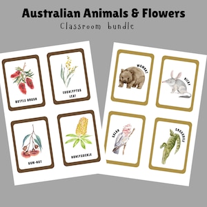 May include: A set of 8 printable cards featuring Australian animals and flowers. The cards are brown with gold trim and feature watercolor illustrations of a wombat, bilby, galah, crocodile, bottle brush, eucalyptus leaf, gum-nut, and honeysuckle.