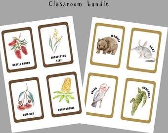 Australian Animals and Flowers Flashcards, Classroom Bundle (Digital Download)