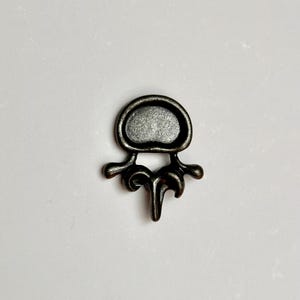 Spine Vertebrae Pin, PT, healthcare workers, nurse, nursing student, neurosurgery, neurology, medical student, spine surgery