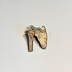 Può includere: Spilla raffigurante un'illustrazione dettagliata di un'articolazione della spalla, tra cui omero, scapola e clavicola. La spilla ha una combinazione di colori beige e crema con contorni neri, che le conferisce un tema medico o anatomico.
