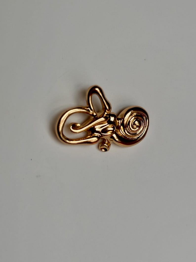 Cochlea & Semicircular Canals Anatomy Pin: ENT Medical Lapel Pin - Etsy