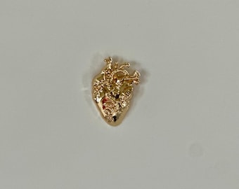 Anatomical Heart Pin: Stainless Steel Medical Lapel Pin