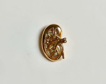 May include: A gold-colored kidney pin. The pin is detailed with the internal structure of the kidney.