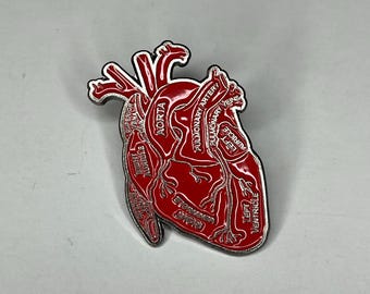 May include: A red enamel pin shaped like a human heart with anatomical details labeled in silver. The pin shows the aorta, pulmonary artery, pulmonary veins, left ventricle, left auricle, right ventricle, right auricle, and superior vena cava.