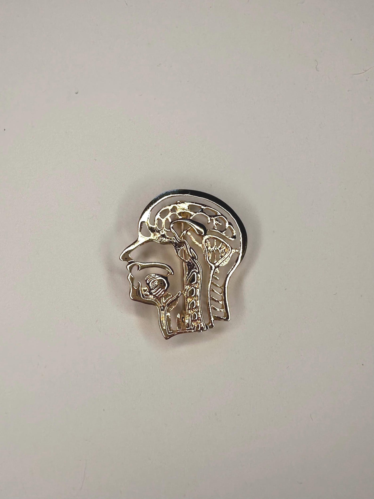 Gold Head Brain Anatomy Pin: Neuro ENT Medical Lapel Pin - Etsy