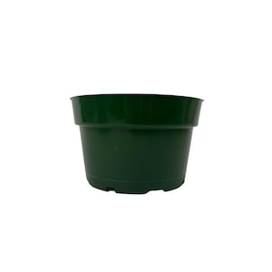 May include: A dark green plastic plant pot with drainage holes in the bottom.