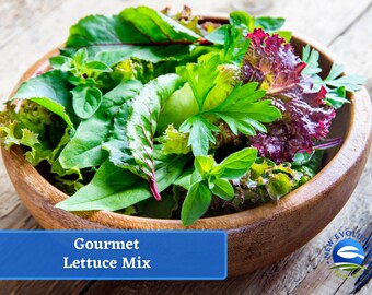 May include: A wooden bowl filled with a gourmet lettuce mix, including red and green lettuce, spinach, and other leafy greens.